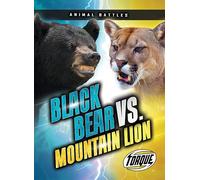 Black Bear vs. Mountain Lion