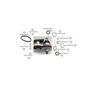 Black Bearing Kit Di Servizio Brose Large Freewheel Em-007-brose Silver