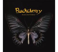 black butterfly
