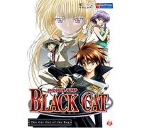 Black Cat 1