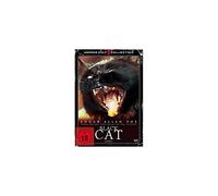 Black Cat
