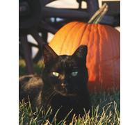 Black Cat and Pumpkin Halloween Notebook - For Cat Lovers, Autumn Fans, and Spooky Season Notes: Perfect Halloween Journal Gift for Witches, Cat Mums, and Fall Aesthetic Fans