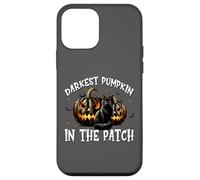 Black Cat Halloween Graphic For Darkest Pumpkin In The Patch Custodia per iPhone 12 mini