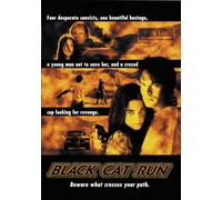 Black Cat Run
