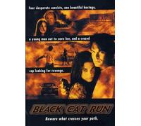 Black Cat Run (DVD) Jeffrey De Munn Patrick Muldoon Peter Greene Amelia Heinle