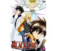Black Cat Vol. 11