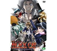 Black Cat Vol. 5