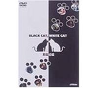 Black Cat, White Cat