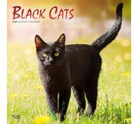 Black Cats 2025 Monthly Square Wall Calendar Foil Stamped Cover Plastic-Free