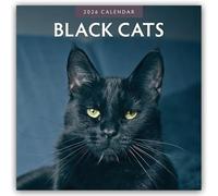 Black Cats 2026 Square Wall Calendar