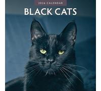 Black Cats - Calendario da parete quadrato 2026 Red Robin Publishing