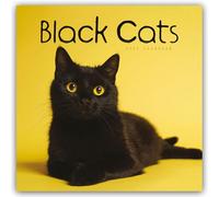 Black Cats - Schwarze Katzen 2025 - Wand-Kalender: Original Carousel-Kalender [Mehrsprachig] [Kalender]