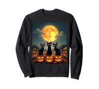 Black Cats Halloween Zucca infestata Patch Party Costume Felpa