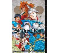 Black Clover 12: The Briar Maiden's Melancholy