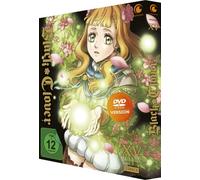 Black Clover - DVD Vol. 15 (Staffel 3)