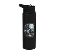 Black Cocker Spaniel Moon Dog Lover Stainless Steel Insulated Water Bottle