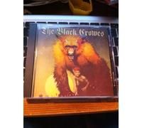 Black Crowes - Live New York 26.8.1992