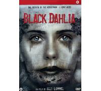 Black Dahlia