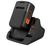 Black&Decker Caricabatterie con batteria