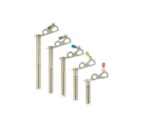 Black Diamond - Chiodi da ghiaccio - Express ice Screw 22 cm