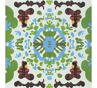 Black Dice - Beaches & Canyons