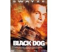 Black dog