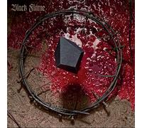 Black flame - Necrogenesis : chants from the grave