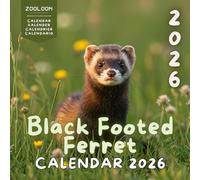 Black Footed Ferret 2026 Calendar: A Tribute to One of North America's Rarest Mammals