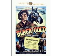 Black Gold (DVD) 'Ducky' Louie Elyse Knox Kane Richmond Al Bridge Clem Mccarthy