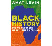 Black History: la storia dimenticata dell'Africa Amat Levin