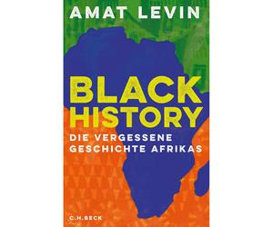 Black History: la storia dimenticata dell'Africa Amat Levin