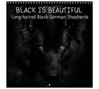 BLACK IS BEAUTIFUL Long-haired Black German Shepherds (Wall Calendar 2027 12 × 1