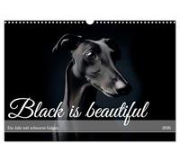 Black is beautiful (Wandkalender 2026 DIN A3 quer), CALVENDO Monatskalender: Schwarze Galgos sind echte Schönheiten