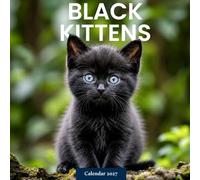 Black Kittens Calendar 2027: Playful Kitten Photography