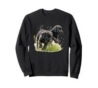 Black Lab Cuccioli Giocando Carino Baby Labrador Dog Art Felpa