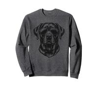Black Lab Labrador Retriever Cane Indossare Occhiali da Sole Grafica Felpa