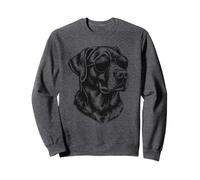Black Lab Labrador Retriever Cane Indossare Occhiali da Sole Grafica Felpa
