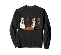 Black Labrador Cani Streghe Vestite da Fantasmi in Boo Foglio Felpa