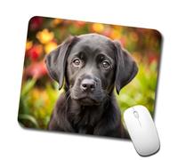 Black Labrador Retriever Dog Puppy Photo Mousepad Portatile Mouse Pad Antiscivolo Tappetino per Mouse for Ufficio Accessori Scrivania Gaming 25X30Cm