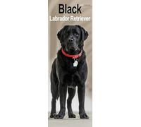 Black Labrador Retriever Slim 2026 Calendar | Slimline Wall Calendar | Dog Breed Gift | Plastic Free Packaging | by Avonside Publishing