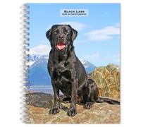Black Labrador Retrievers 2026 6 x 7.75 Inch Spiral-Bound Wire-O Weekly Engage