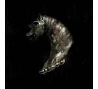 Black Math Horseman Wyllt (CD) Album