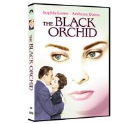 The Black Orchid