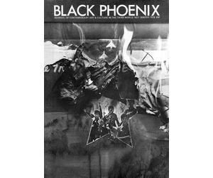 Black Phoenix: Third World Perspectives on Contemporary Art and Cult (Tascabile)