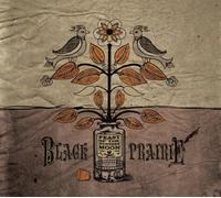 Black Prairie - Feast of the Hunters' Moon by Black Prairie (2010) Audio CD