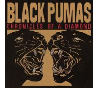 Black Pumas - Chronicles Of A Diamond