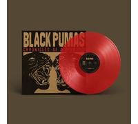 Black Pumas Chronicles of a Diamond (Vinyl LP)