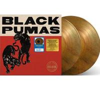 black pumas (wm)-Import USA