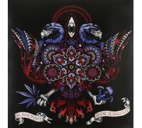 Black Pussy Where the Eagle Flys (Vinyl LP)