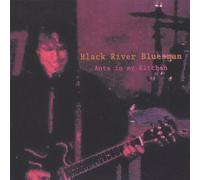 Black River Bluesman & The Cockroach Combo - Ants In My Kitchen